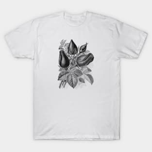 Black Roses Bunch T-Shirt